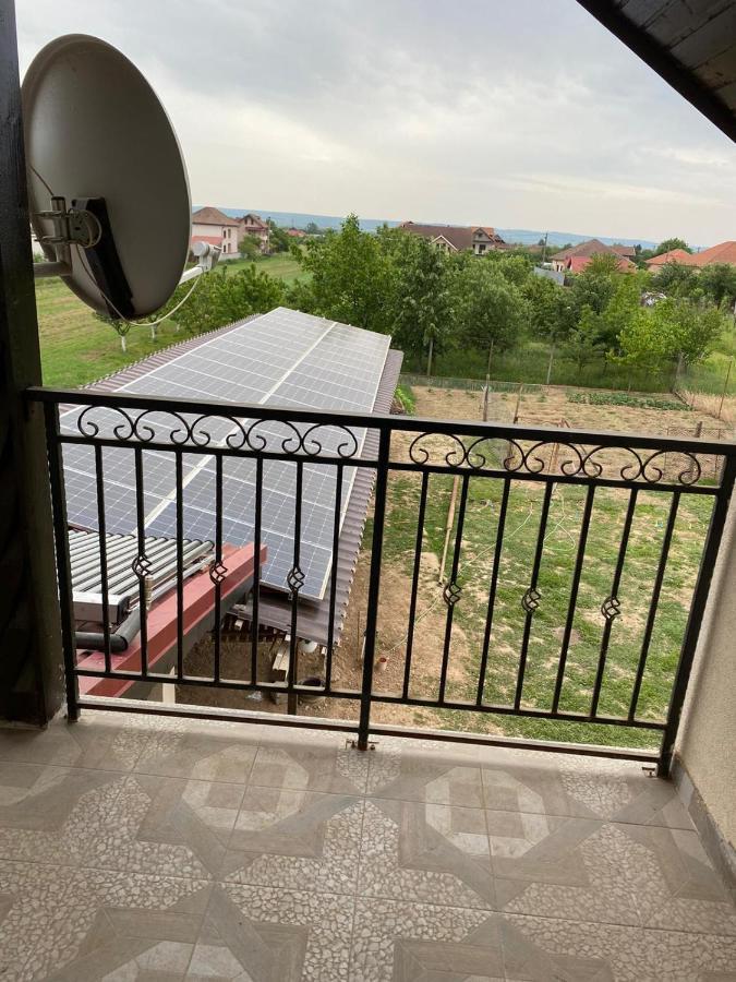 Casa Brancusiana Daire Târgu Jiu Dış mekan fotoğraf